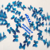 4pc 3d flying butterflies