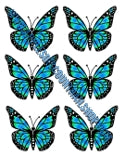 WATER NAIL DECAL CUTOUTS, TRANSPARENT BACKGROUND